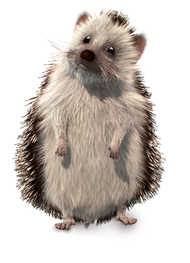 hedgehog
