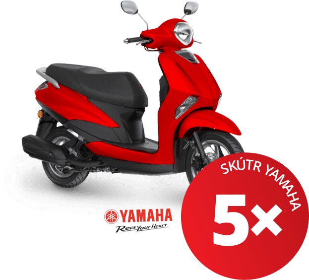 Nakupte výrobky SPONTEX 